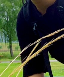 古着 | シャツ/ブラウス