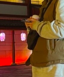 JANSPORT | ボディバッグ/ウエストポーチ