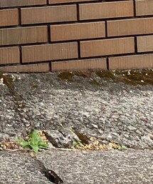 古着 | デニムパンツ