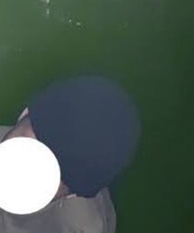 WEGO | ニットキャップ/ビーニー