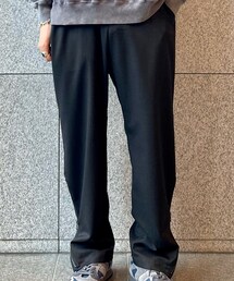 WILD LIFE TAILOR Adam et Rope' | パンツ