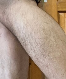 すね毛 | メイクブラシ