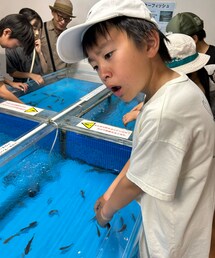 GU | ドクターフィッシュよってきてくれないパパはたくさんきてるのに。それはねパパの手がきたねぇからだよ(その他)