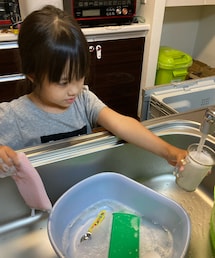 洗い物 | その他