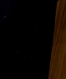 DISCOAT | ワンピース/ドレス