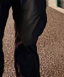 Gramicci | パンツ