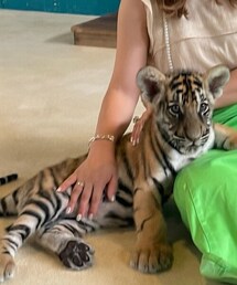 TIFFANY&Co. | ブレスレット