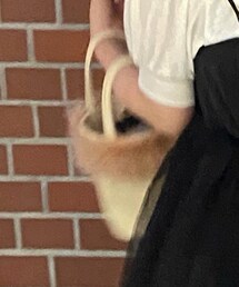 thevirgins | ハンドバッグ