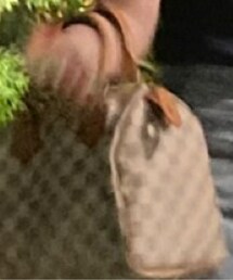 LOUIS VUITTON | speedy(ボストンバッグ)