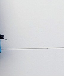 SUIT SELECT | テーラードジャケット