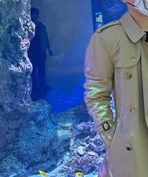 BURBERRY | ベルト