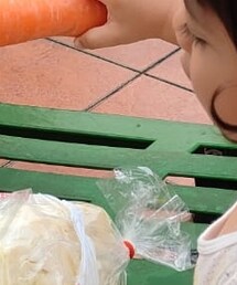 キャベツ | その他