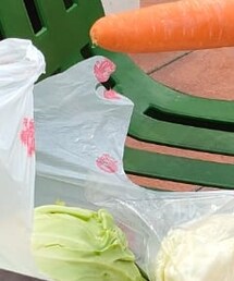 にんじん | その他