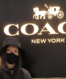 UNIQLO | ベルト