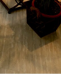 Dr. Martens | ブーツ