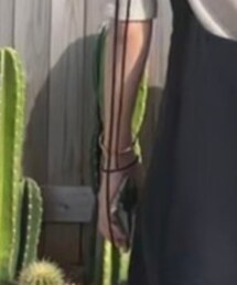 Daniel Wellington | ブレスレット