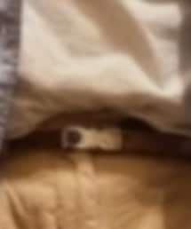 funkie junk | ベルト