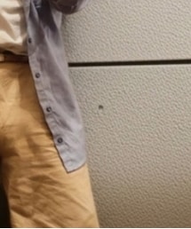 U.S.NAVY | シャツ/ブラウス