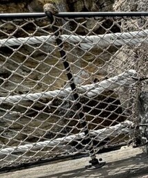 VINTAGE | Tシャツ/カットソー