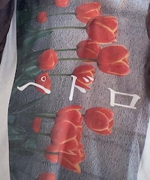 PEDRO | Tシャツ/カットソー