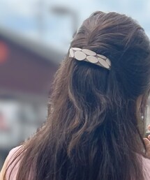 ALEXANDRE DE PARIS | ヘアアクセサリー