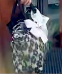 Le creative? | ハンドバッグ