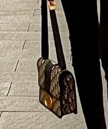 Dior | バッグ