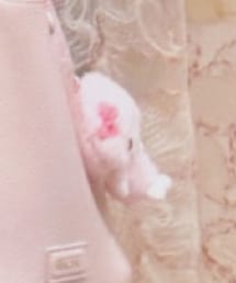 sanrio | 雑貨/ホビー