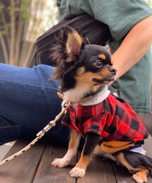 ぴの🐶 | その他