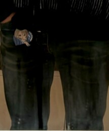 古着 | デニムパンツ