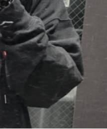 LiSA | その他アウター