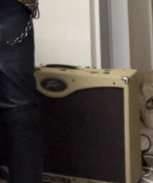 PEAVEY | 音楽/本・雑誌
