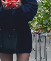 Chico | デニムスカート