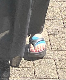 靴下屋 | レッグウェア