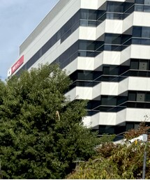 niko and... | 帽子