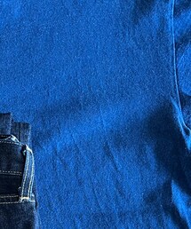 ANATOMICA | Tシャツ/カットソー