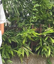 是非フォローよろしくお願いします | その他