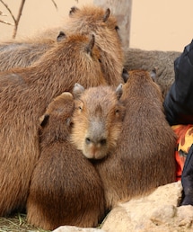 カメラ写真📷 | その他