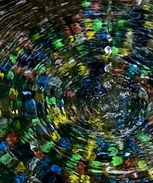 カメラ写真③ | その他