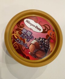 Häagen-Dazs🍫 | 冬は濃厚なチョコアイスが食べたくなる🤤ザクザクのチョコチップが上に乗ってるのが◎(その他)