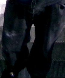 Levi's | デニムパンツ
