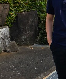 LACOSTE | ポロシャツ