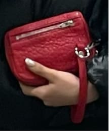 alexanderwang | クラッチバッグ