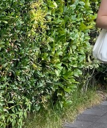 no brand | スカート