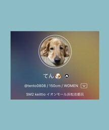🆕WEAR始めました🐶 | その他
