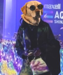 UNIQLO | インナーウェア/肌着