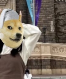 UNIQLO | シャツ/ブラウス