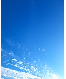 秋空 | その他