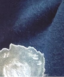 Honeys | スウェット