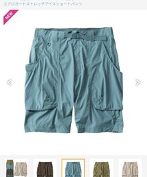 WORKMAN | AERO GUARD STRETCH ICE ショートパンツ L(パンツ)
